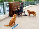 Photo of piano