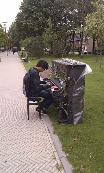 Photo